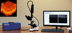 樹脂接合不良解析 断層画像解析システム　顕微SD-OCT