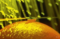 Photonics for Communication and Sensors
