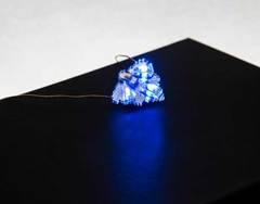 The Frozen Necklace