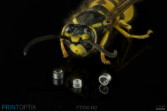 PTX90-f42 Micro Camera Objective