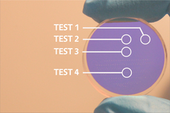 TEST BUNDLES AND PACKAGES FOR OTPICS CHARACTERIZATION