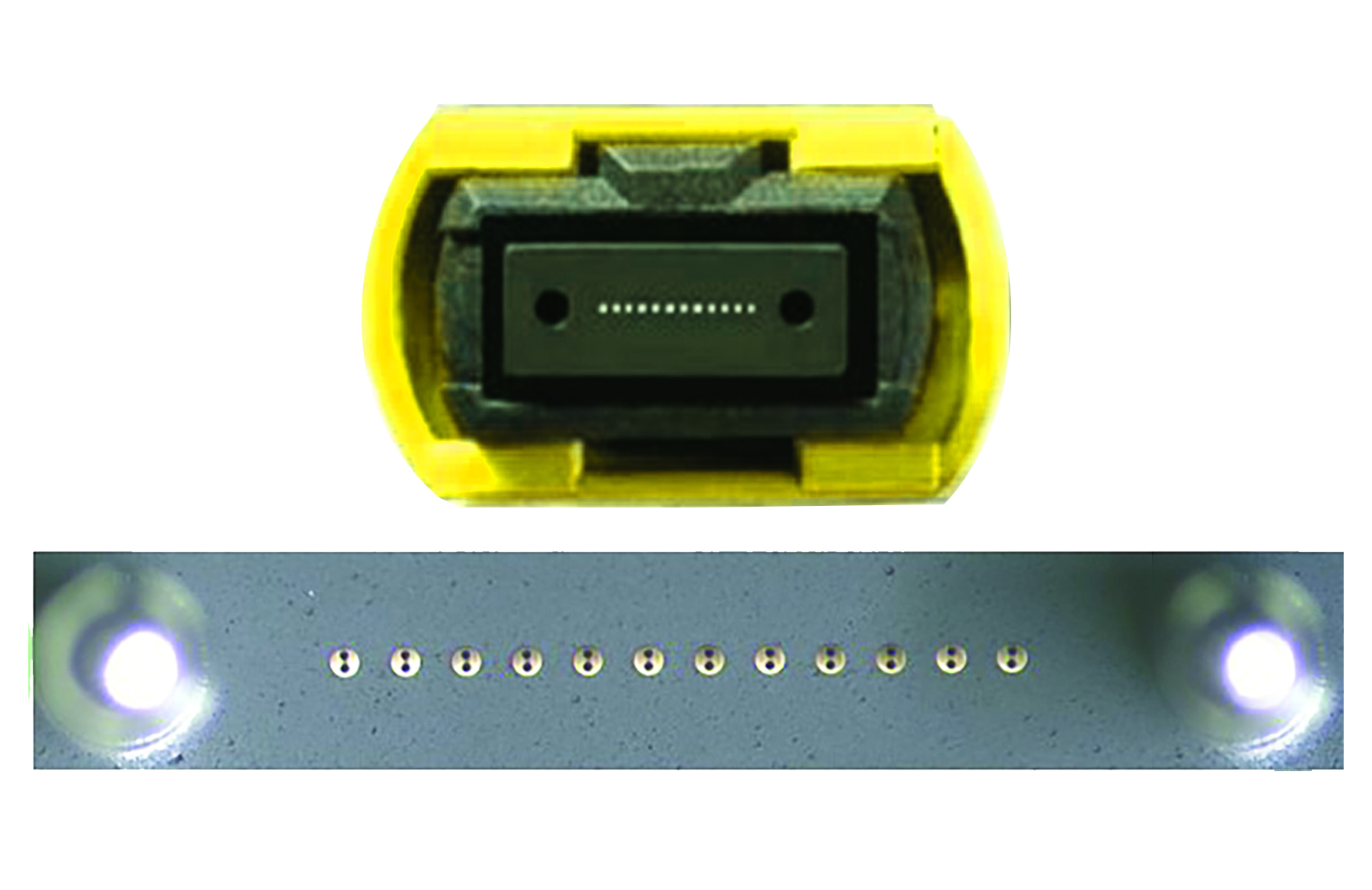 12 & 16 Channels MPO/MTP® PM Fiber Assemblies