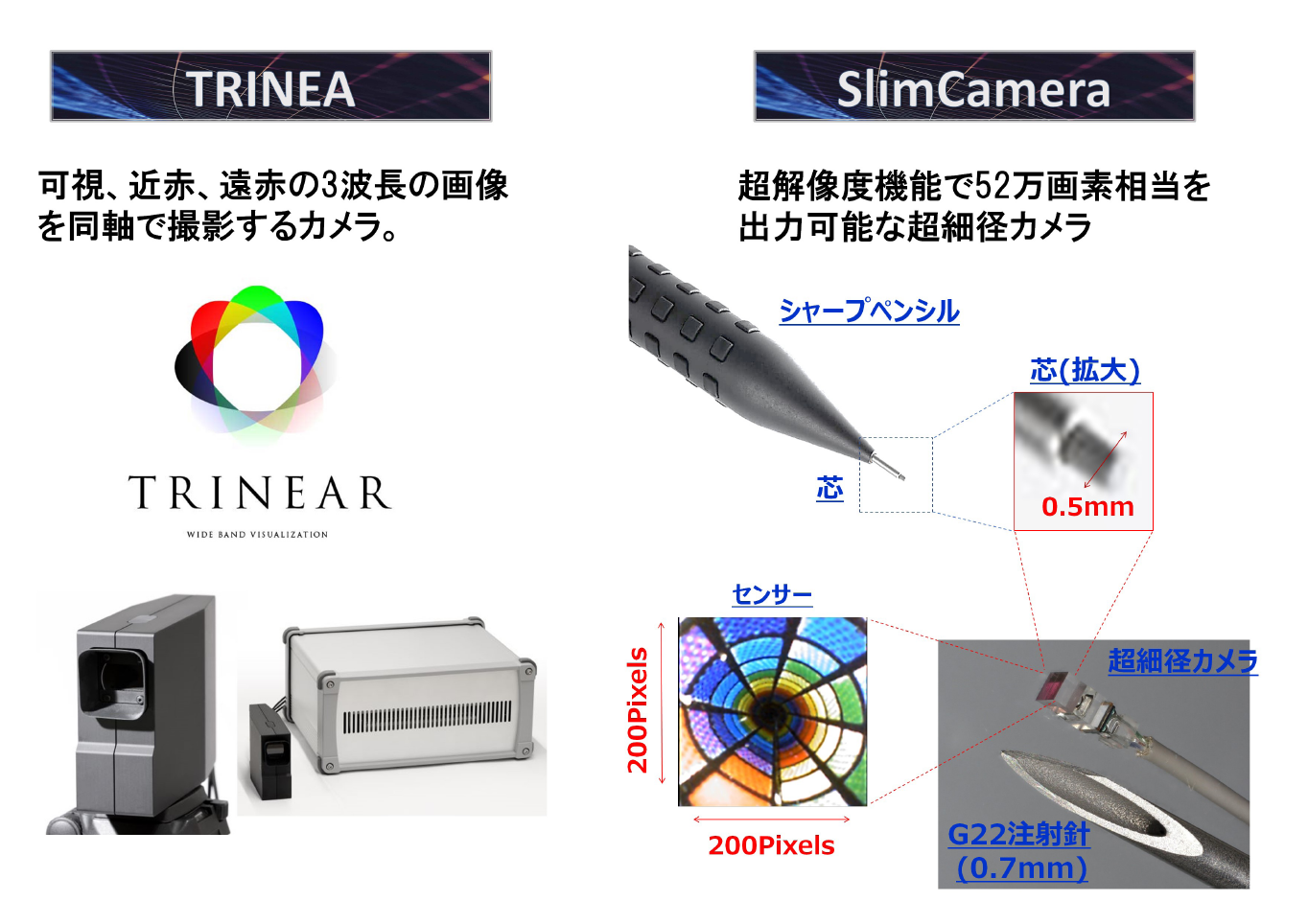 新製品取り組み