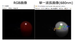 多板式カメラモジュール