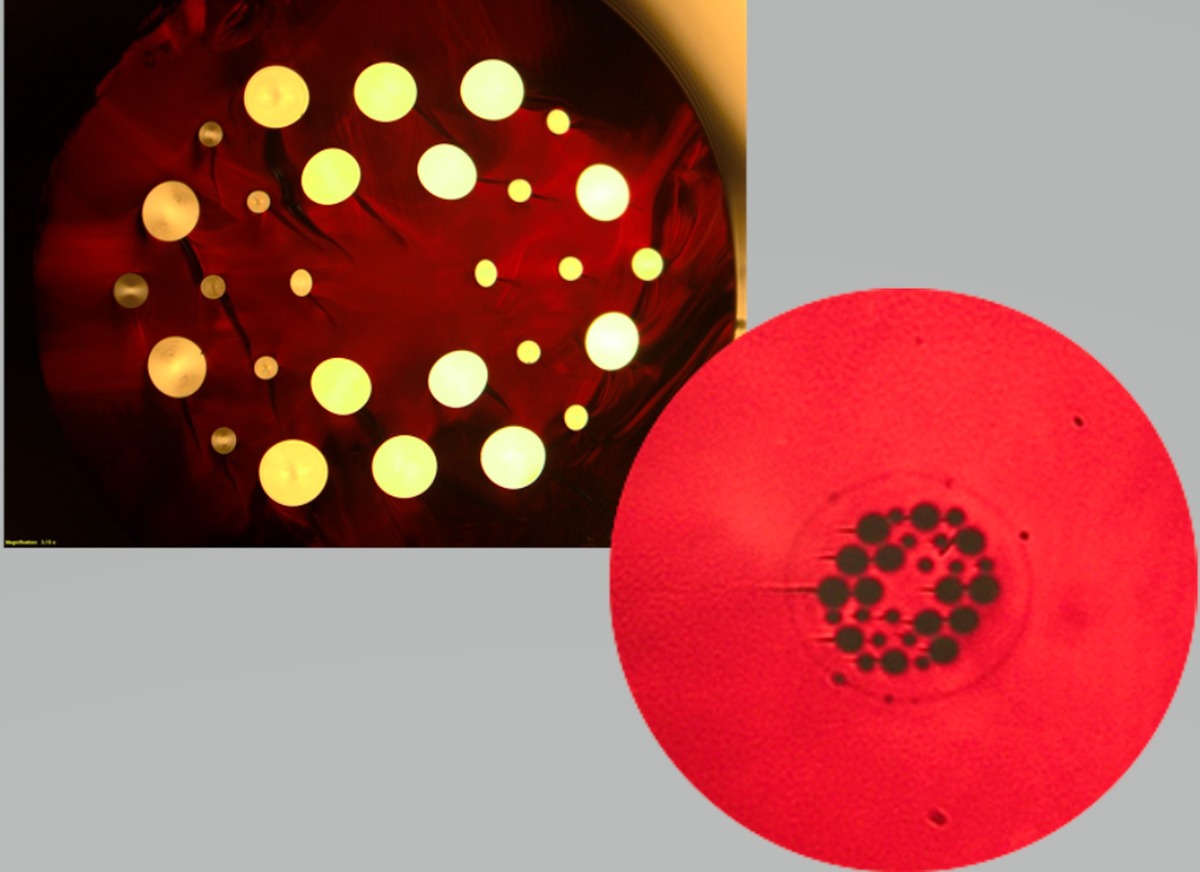 Patented Polarization Maintaining Photonic Crystal Fiber (pre-commercialize stage)