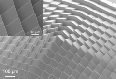 Cm-scale array of complex optical structure with highly accurate µ-features